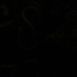 Meet your Posher, Tanya